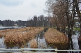 Seuraava sato on vesimelooneita